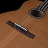 Godin Etude Nylon String Guitar