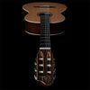 Godin Presentation Nylon String Guitar