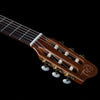 Godin Collection Clasica II Nylon String Electro Guitar