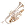 Odyssey Symphonique 'Bb' Cornet Outfit ~ Silver Plated