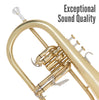 Odyssey Debut 'Bb' Flugel Horn Outfit with Case