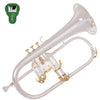 Odyssey Premiere 'Bb' Flugel Horn Outfit ~ Silver Plated