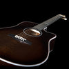 Seagull Artist Peppino Signature C/A Electro-Acoustic Guitar 